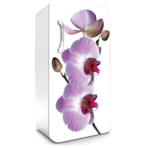 FR-120-024 Samolepicí fototapety na lednici Růžová orchidej | 65 x 120 cm | fialová, růžová, bílá