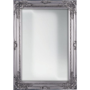 Nástěnné Zrcadlo Walter barvy stříbra 50/70/3,5 cm