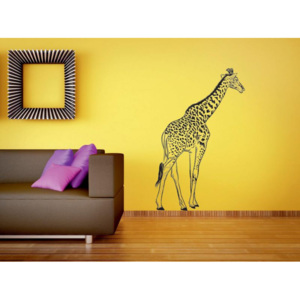 Samolepka na zeď- Žirafa