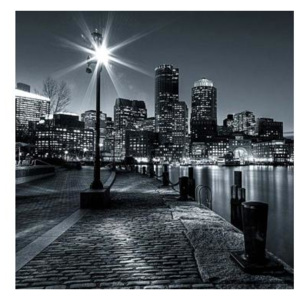 L-442 Vliesové fototapety na zeď Boston | 220 x 220 cm | černobílá