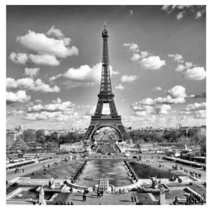 L-303 Vliesové fototapety na zeď Paříž šedá | 220 x 220 cm | černobílá
