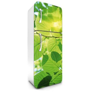 FR-180-009 Samolepicí fototapety na lednici Listy | 65 x 180 cm | zelená