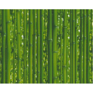 A.S. Création 95936-1 tapety na zeď Dekora Natur 6 | 0,53 x 10,05 m | zelená vinylová tapeta na stěnu 959361