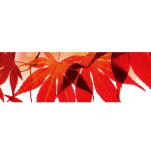 M-438 Vliesové fototapety na zeď Červené listy | 330 x 110 cm | oranžová, hnědá