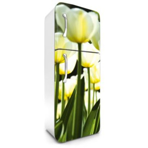 FR-180-026 Samolepicí fototapety na lednici Bílé tulipány | 65 x 180 cm | zelená, žlutá, bílá