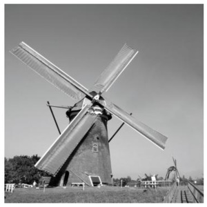 L-312 Vliesové fototapety na zeď Větrný mlýn šedý | 220 x 220 cm | černobílá