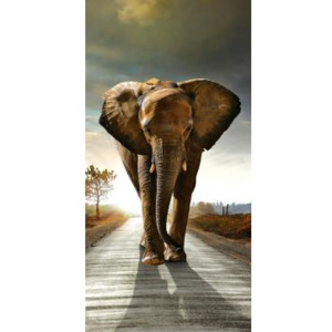 S-508 Vliesové fototapety na zeď Kráčející slon | 110 x 220 cm | hnědá, šedá
