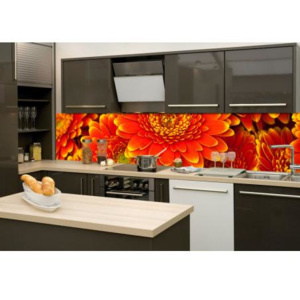 DIMEX KI-260-059 Fototapeta do kuchyně Gerbera | 260 x 60 cm oranžová, červená samolepicí fototapeta na kuchyňskou linku