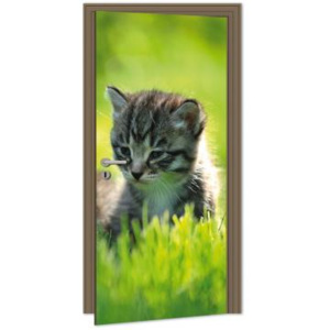 DL-028 Samolepicí fototapeta na dveře Kotě | 95 x 210 cm | bílá, zelená, hnědá
