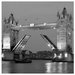 L-306 Vliesové fototapety na zeď Tower Bridge šedý | 220 x 220 cm | černobílá