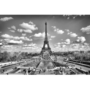 XL-308 Vliesové fototapety na zeď Paříž šedá | 330 x 220 cm | šedá