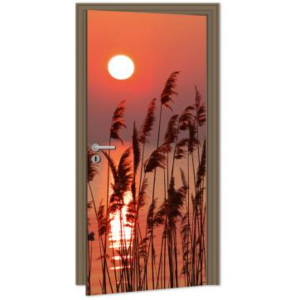DL-013 Samolepicí fototapeta na dveře Rákos u jezera | 95 x 210 cm | oranžová, hnědá