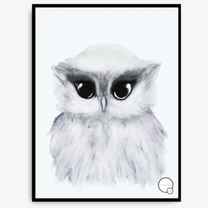 Černobílý plakát Owl 30×40 cm