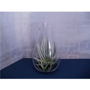 BANQUET Váza skleněná ROSEA 29 cm