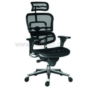 Kancelářská židle Ergohuman