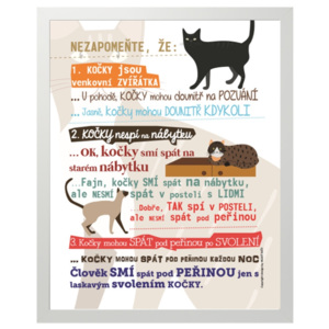 Plakát - "A nezapomeňte, že kočky..." Plakát - A nezapomeňte, že kočky - BEZ RÁMU + bílý dárkový tubus s mašlí