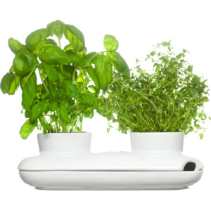 Samozavlažovací květináč na bylinky SAGAFORM Duo Herb