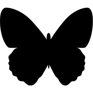 Nástěnná tabule, motýl