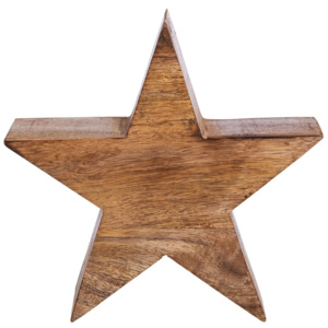 FOREST Dřevěná hvězda 23 cm