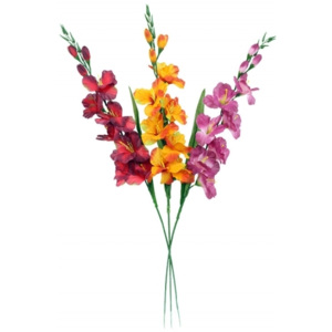 UMĚLÁ KVĚTINA - GLADIOLA