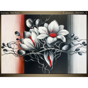 Ručně malovaný obraz Bílá krása 100x70cm RM2384A_1Z (Různé varianty)