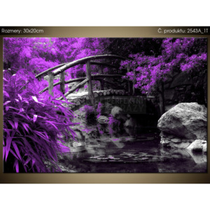 Tištěný obraz Fialová Japonská zahrada 2543A_1T (Různé varianty)