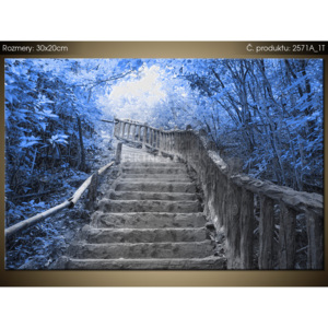 Tištěný obraz Schody v modrém lese 2571A_1T (Různé varianty)