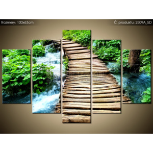 Tištěný obraz Dřevěný most nad pramenem 100x63cm 2509A_5D (Různé varianty)