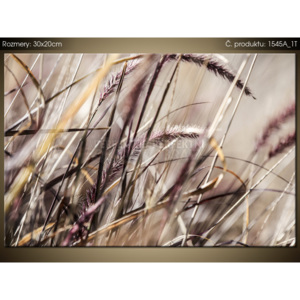 Tištěný obraz V trávě - Nina Matthews 1545A_1T (Různé varianty)