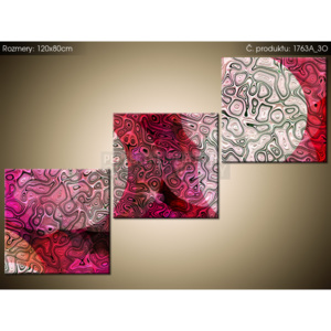 Tištěný obraz Bakterie 120x80cm 1763A_3O (Různé varianty)