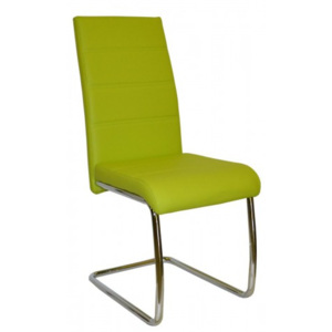 FALCO Jídelní židle Y 100 zelená