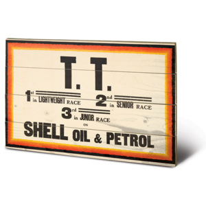 Dřevěný obraz Shell - TT, (59 x 40 cm)