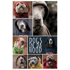 Plakát, Obraz - Dogs In Da Hood - Dogs, (61 x 91,5 cm)