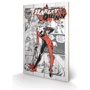 Dřevěný obraz Harley Quinn - aka Dr. Harleen Francis Quinzel, (40 x 59 cm)