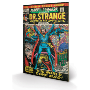 Dřevěný obraz Doctor Strange - This World Gone Mad, (40 x 59 cm)