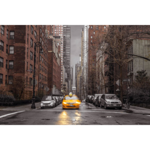 Plakát, Obraz - Assaf Frank - New York Taxi, (91,5 x 61 cm)
