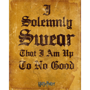 Plakát, Obraz - Harry Potter - I Solemnly Swear, (40 x 50 cm)