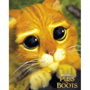 Výprodej – Plakát Puss in Boots