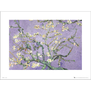 Reprodukce Vincent Van Gogh Purple Blossom
