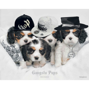 Plakát Keith Kimberlin - Gangsta Pups