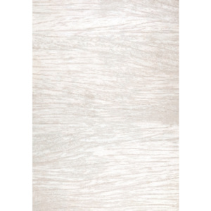 Osta luxusní koberce Kusový koberec Piazzo 12121 902 - 60x120 cm
