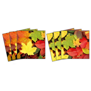 Samolepicí dekorace Leaves TI-014 (Dekorativní čtverce 15 x 15 cm)
