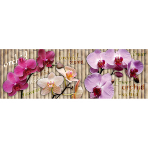 Fototapeta na linku Orchid 180 x 60 cm KI180-026 (Samolepicí fototapeta Dimex)