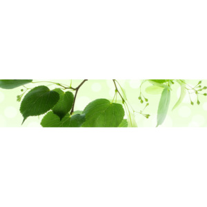 Fototapeta na linku Green Leaves 260 x 60 cm KI260-010 (Fototapeta na linku Dimex)