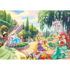 Fototapeta, Tapeta Disney Princezny Tiana, Ariel, Aurora, (254 x 184 cm)
