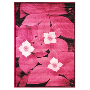 Kusový koberec Arial růžový, Velikosti 120x170cm