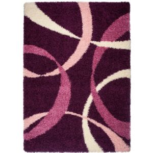 Kusový koberec Shaggy Basileo fialový, Velikosti 80x150cm