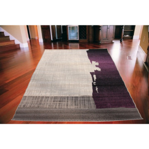 Kusový koberec PP Shad fialový, Velikosti 120x170cm