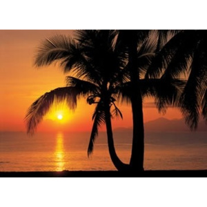 Komar 8-255 Fototapeta moře - Palmy Beach Sunrise, Rozměr 368 x 254 cm
