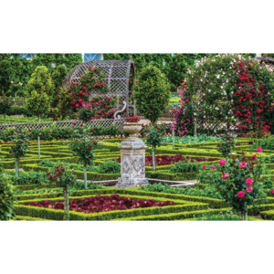 Fototapeta, Tapeta Zahrada růží, (416 x 254 cm)